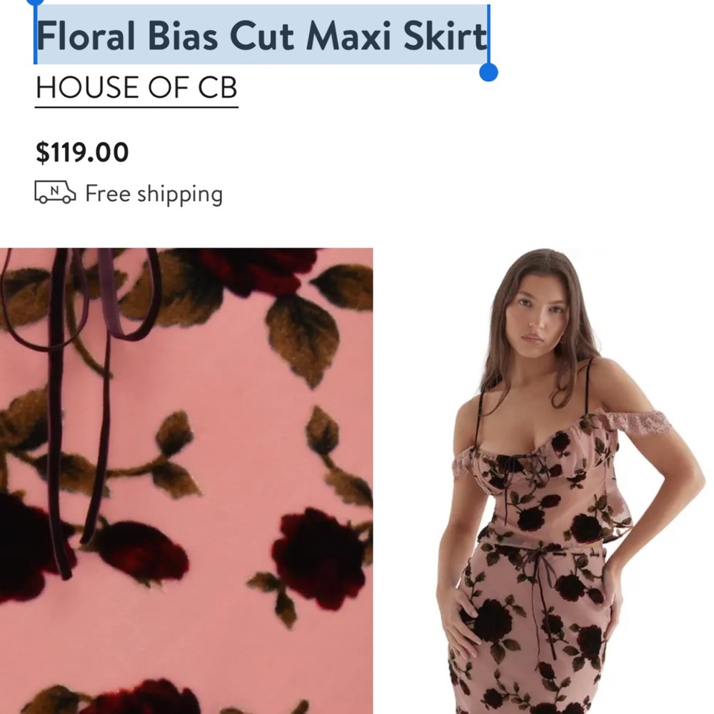 House of CB Bias Cut Skirt and matching Devore Velvet Georgette Crop Tan… - Picture 12 of 16